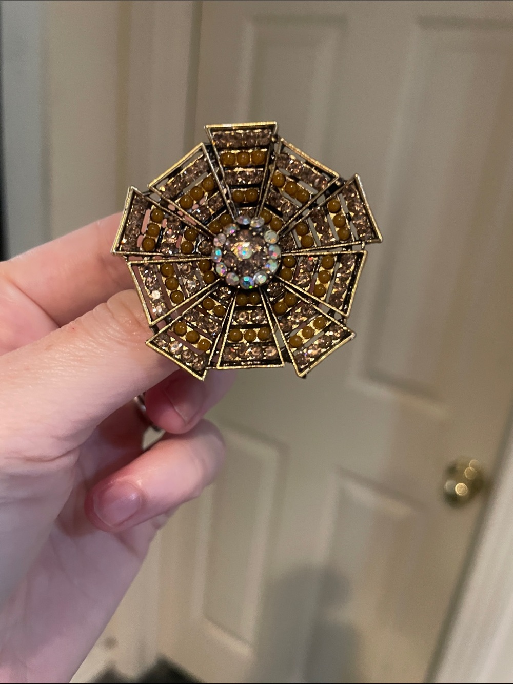 Spider Web Shaped Brooch